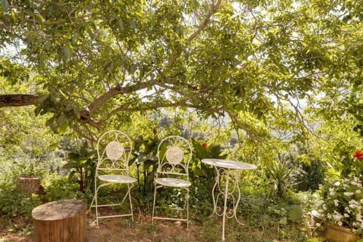 Agrifoglio B&B Con Giardino Aritzo Exterior foto